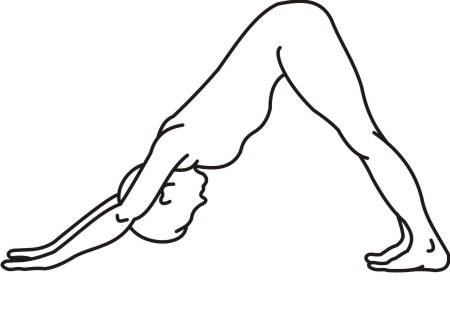 Adho Muka Svanasana